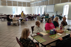 IMG_20260216_111647926_HDR